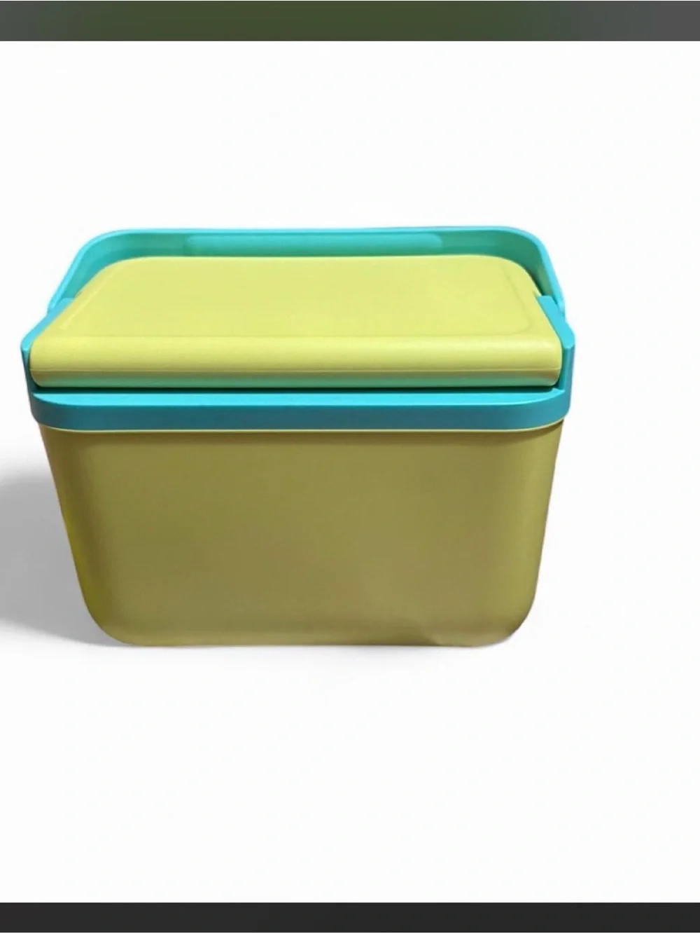 Plastic Storage Basket with Lid in Lime and Teal - Home Kitchen